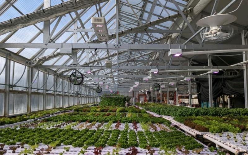 Agriculture & Greenhouse Agriculture & Greenhouse